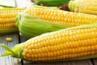 Cara Menghitung Koefisien Elastisitas Permintaan