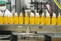 Faktor Yang Memengaruhi Elastisitas Penawaran