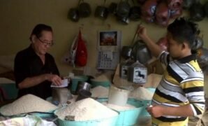 Faktor Yang Memengaruhi Elastisitas Permintaan