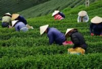 Faktor Yang Mempengaruhi Kebutuhan Manusia