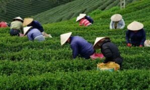 Faktor Yang Mempengaruhi Kebutuhan Manusia