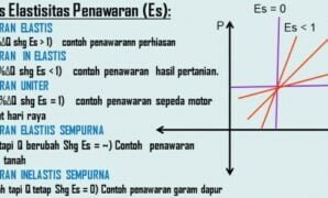 Jenis Elastisitas Penawaran