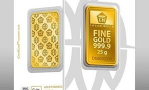 Teknik Berkebun Emas