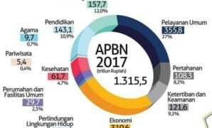 Fungsi APBN